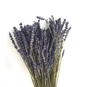 Dried Lavender Bunch 40cm