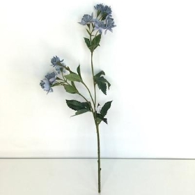 Blue Astrantia 48cm