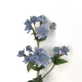 Blue Astrantia 48cm