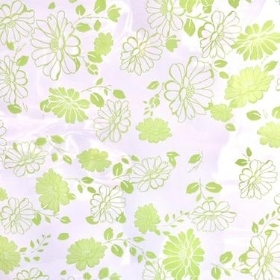 Pistachio Katie Cellophane 100m