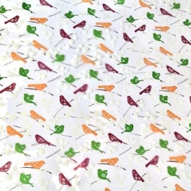 Autumn Birdsong Cellophane 100m