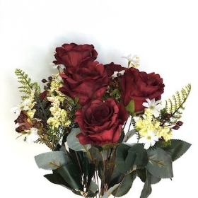 Burgundy Rose Bush 50cm
