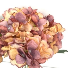 Antique Hydrangea Bush 45cm