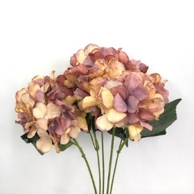 Antique Hydrangea Bush 45cm