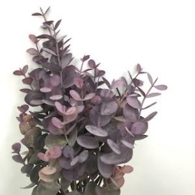 Grey Eucalyptus Bundle 36cm