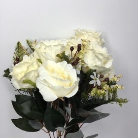 Cream Rose Bush 50cm