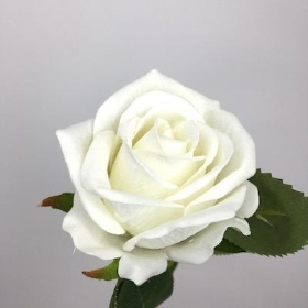 Ivory Rose 50cm