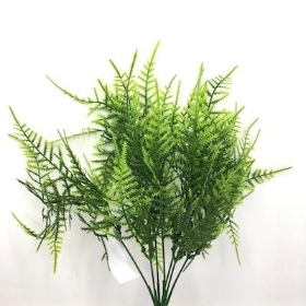 Asparagus Fern Bush 30cm