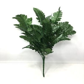 Leatherleaf Bush 44cm