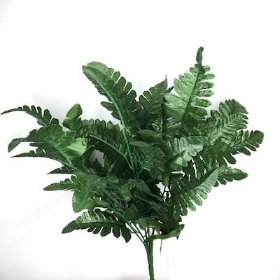 Leatherleaf Bush 44cm
