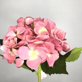 Vintage Pink Hydrangea 51cm