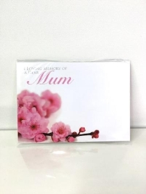 Florist Cards Mum Pink Blossom x 6