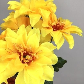 Yellow Zinnia Bush 33cm