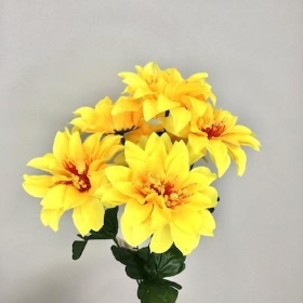 Yellow Zinnia Bush 33cm