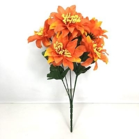 Orange Zinnia Bush 33cm