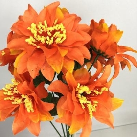 Orange Zinnia Bush 33cm