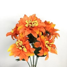 Orange Zinnia Bush 33cm