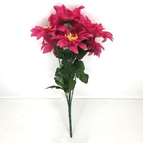 Cerise Zinnia Bush 33cm