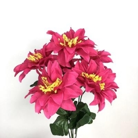 Cerise Zinnia Bush 33cm