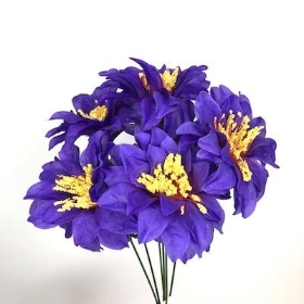 Purple Zinnia Bush 33cm