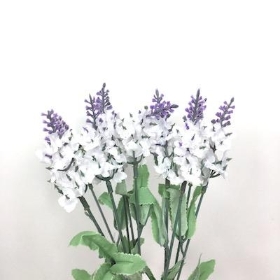 White Lavender Bush 34cm