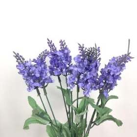 Lilac Lavender Bush 34cm