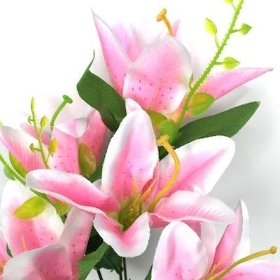 Pale Pink Lily Bush 38cm