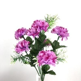 Purple Mini Mum Bush 28cm