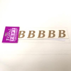 Gold Vinyl Letter B