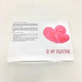 Be My Valentine Folding Card