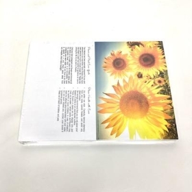 Sunflower Field Folding Card x 25
