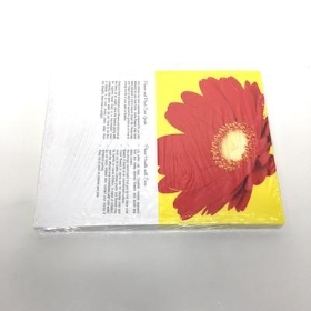 Red Gerbera Folding Card x 25