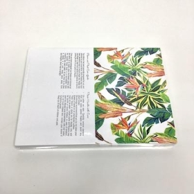 Bird Of Paradise Folding Card x 25
