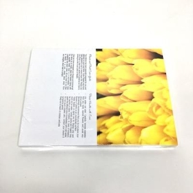 Yellow Crocus Folding Card x 25