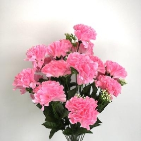 Pink Carnation Bush With Gyp 45cm