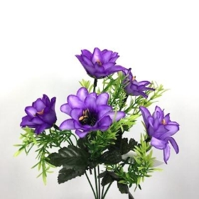 Purple Mini Dahlia Bush 30cm