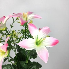 Pink Mini Lily Bush 31cm