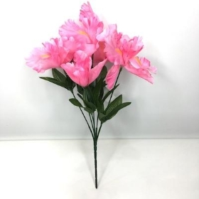 Pink Iris Bush 32cm