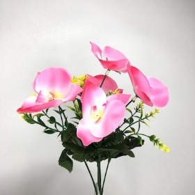 Pink Mini Orchid Bush 31cm