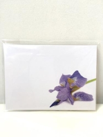Florist Cards Blue Iris x 6