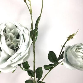 Grey Garden Rose 63cm