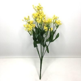 Yellow Gyp Bush 31cm