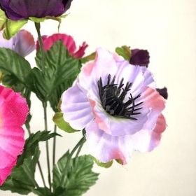 Pink Mix Anemone Bush 28cm