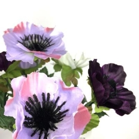 Purple Mix Anemone Bush 28cm