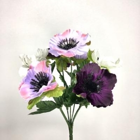 Purple Mix Anemone Bush 28cm