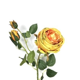 Orange Garden Rose 75cm
