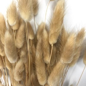 Dried Natural Bunny Tails 80g