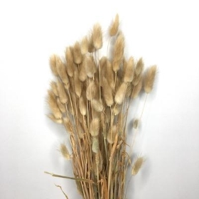 Dried Natural Bunny Tails 80g