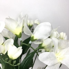 Ivory Freesia Bush 33cm