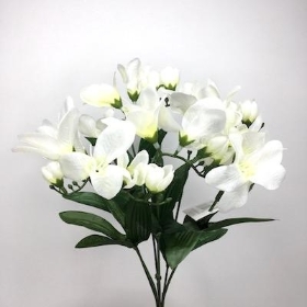 Ivory Freesia Bush 33cm